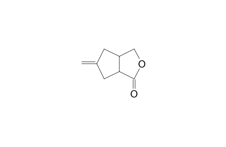 3-Oxabicyclo[3.3.0]octan-2-one, 7-methylene-