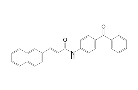 (E)-3-naphthalen-2-yl-N-[4-(phenylcarbonyl)phenyl]prop-2-enamide