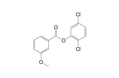 3-Methoxybenzoic acid, 2,5-dichlorophenyl ester