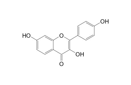 3,7,4'-Trihydroxyflavone