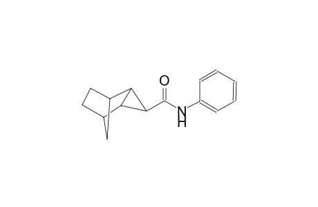 N-phenyltricyclo[3.2.1.0~2,4~]octane-3-carboxamide