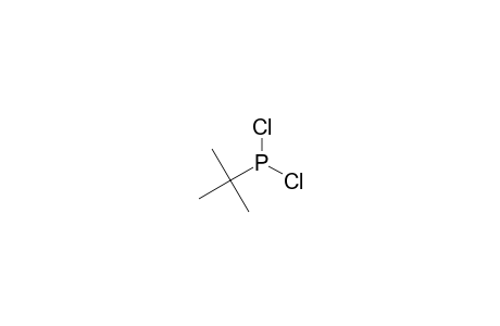 tert-Butyldichlorophosphine