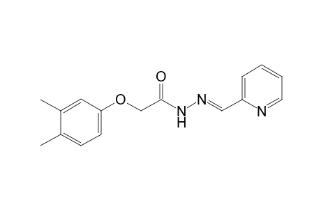 (3,4-Dimethylphenoxy)acetic acid, (pyridin-2-yl)methylenehydrazide