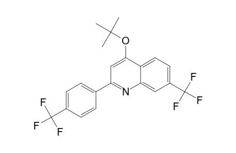 4-tert-Butoxy-7-(trifluoromethyl)-2-[4-(trifluoromethyl)phenyl]quinoline