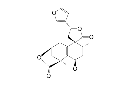 CRASSIFOLIN_E