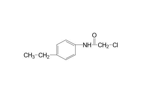 2-chloro-4'-ethylacetanilide