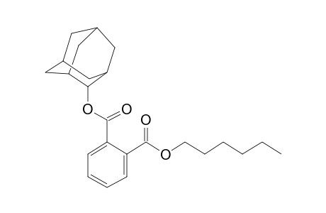 Phthalic acid, 2-adamantyl hexyl ester