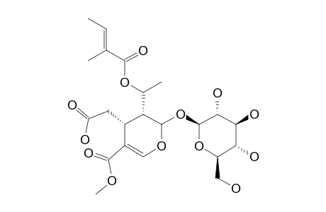 8-O-TIGLOYLDIDERROSIDE