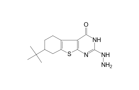 7-tert-Butyl-2-diazanyl-5,6,7,8-tetrahydro-3H-[1]benzothiolo[2,3-d]pyrimidin-4-one