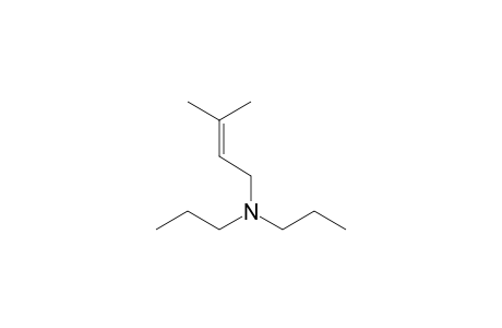 3-Methyl-N,N-dipropylbut-2-en-1-amine