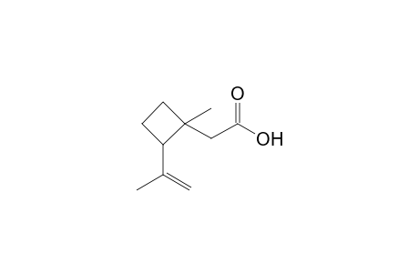 2-(1-Methyl-2-prop-1-en-2-yl-cyclobutyl)ethanoic acid