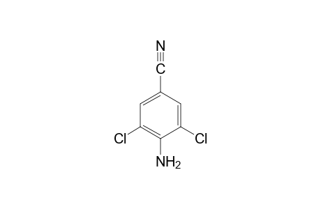 4-Amino-3,5-dichlorobenzonitrile