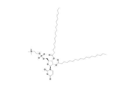 1,2-DISTEARYL-URIDINO-PHOSPHOCHOLINE