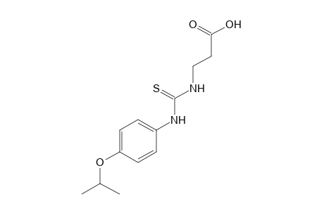 3-[3-(p-isopropoxyphenyl)-2-thioureido]propionic acid
