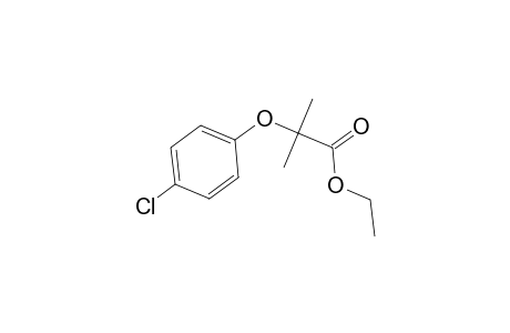 Clofibrate