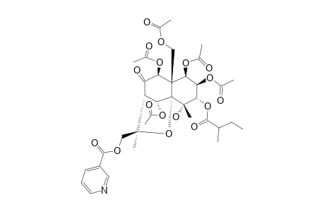 1-BETA,2-BETA,5-ALPHA,8-BETA,11-PENTAACETOXY-4-ALPHA-HYDROXY-3-ALPHA-(2'-METHYLBUTANOYL)-15-NICOTINOYL-7-OXO-DIHYDROAGAROFURAN