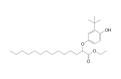 Ethyl-alpha-(3-t-butyl-4-hydroxyphenoxy)myristate