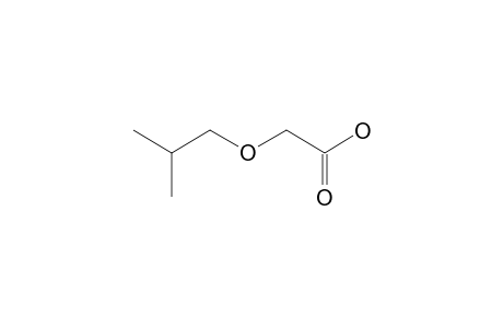 isobutoxyacetic acid