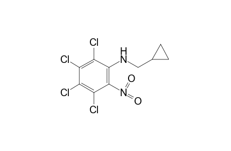 N-(cyclopropylmethyl)-2-nitro-3,4,5,6-tetrachloroaniline