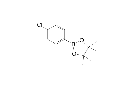 2-(4-Chlorophenyl)-4,4,5,5-tetramethyl-1,3,2-dioxaborolane