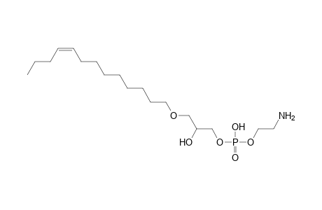 LPE O-13:1