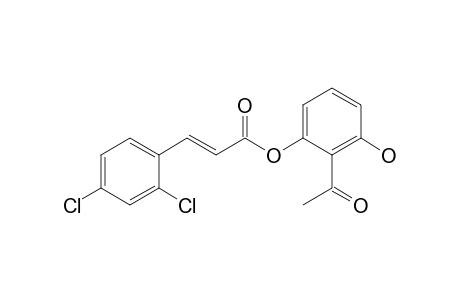 2'-(2,4-Dichlorocinnamoyloxy)-6'-hydroxyacetophenone