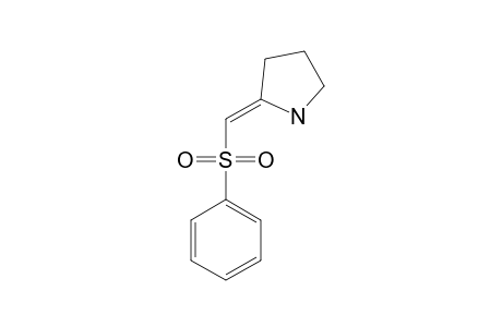 Z-2-(PHENYLSULFONYLMETHYLENE)-PYRROLIDINE
