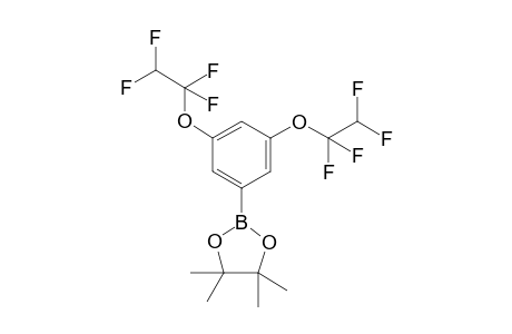 2-(3,5-bis(1,1,2,2-tetrafluoroethoxy)phenyl)-4,4,5,5-tetramethyl-1,3,2-dioxaborolane