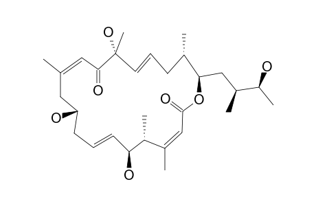 IRIOMOTEOLIDE_1B