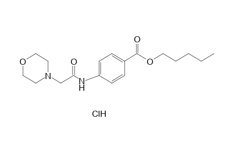 p-(2-morpholinoacetamido)benzoic acid, pentyl ester, hydrochloride