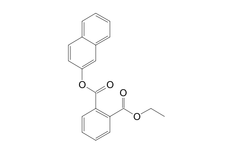 Phthalic acid, ethyl 2-naphthyl ester