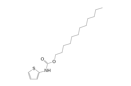 Dodecyl N-(2-thienyl) carbamate