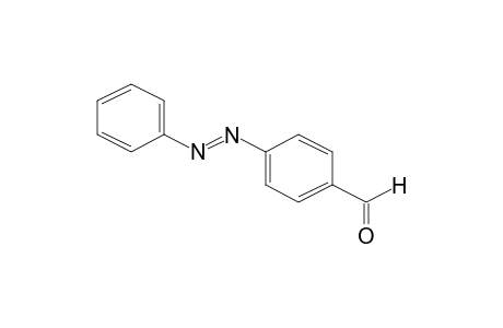 4-Phenylazobenzaldehyde
