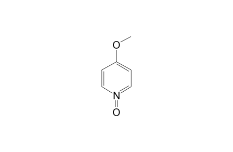 4-Methoxypyridine N-oxide