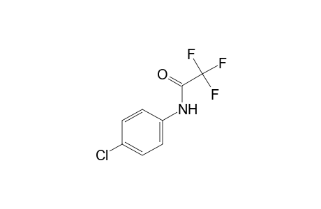 4'-chloro-2,2,2-trifluoroacetanilide