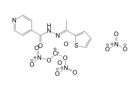 (nitrooxy)chromiylium nitrate N'-[(1E)-1-(thiophen-2-yl)ethylidene]pyridine-4-carbohydrazide dihydrate nitrate