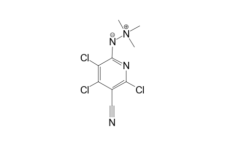 1-TRIMETHYL-2-(3,4,6-TRICHLORO-5-CYANOPYRID-2-YL)-HYDRAZIN-1-IO-2-IDE