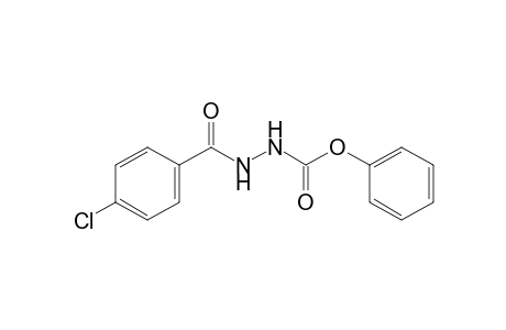 p-chlorobenzoic acid, 2-carboxyhydrazide, phenyl ester