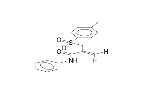 N-phenyl-2-p-tolylsulfonylmethylacrylamide