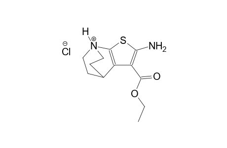 2-amino-3-(ethoxycarbonyl)-4,5,6,7-tetrahydro-4,7-ethanothieno[2,3-b]pyridin-7-ium chloride