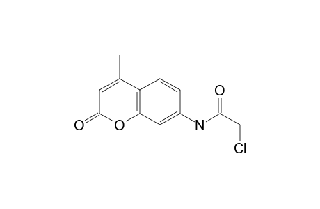 2-Chloranyl-N-(4-methyl-2-oxidanylidene-chromen-7-yl)ethanamide