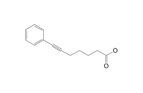 7-Phenyl-6-heptynoic acid