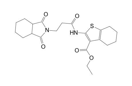 ethyl 2-{[3-(1,3-dioxooctahydro-2H-isoindol-2-yl)propanoyl]amino}-4,5,6,7-tetrahydro-1-benzothiophene-3-carboxylate