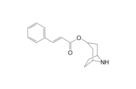 8-Azabicyclo[3.2.1]oct-endo-3-yl (E)-3-phenylprop-2-enoate (nortropinyl cinnamate)