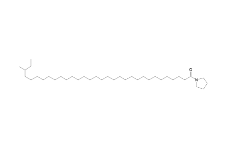 30-Methyl-dotriacontanoic acid, pyrrolidide