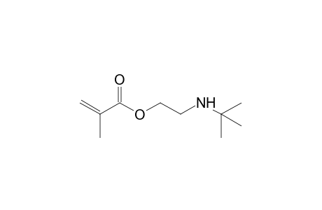 2-(tert-Butylamino)ethyl methacrylate