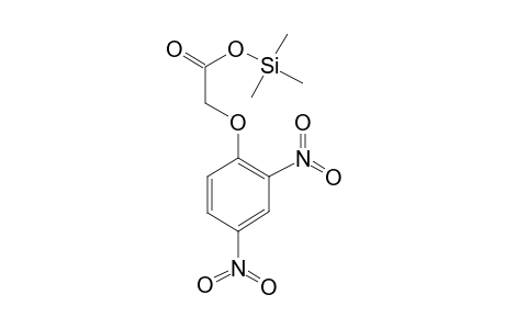 (2,4-Dinitrophenoxy)acetic acid, tms derivative