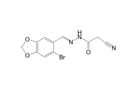 N'-[(E)-(6-Bromo-1,3-benzodioxol-5-yl)methylidene]-2-cyanoacetohydrazide