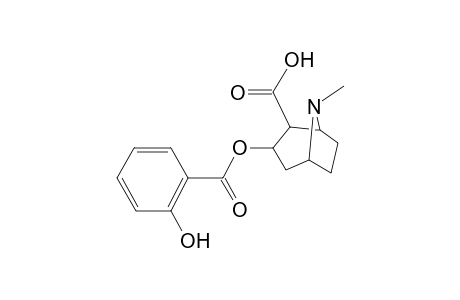 Benzoylecgonine-M (HO-ring) isomer 1 MS2