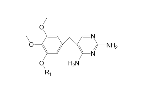 Trimethoprim-M (O-demethyl-glucuronide) MS2